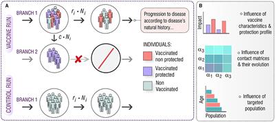 Model-based impact evaluation of new tuberculosis vaccines in aging populations under different modeling scenarios: the case of China